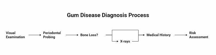 an infographic showing the steps involved during diagnosing gum disease. 